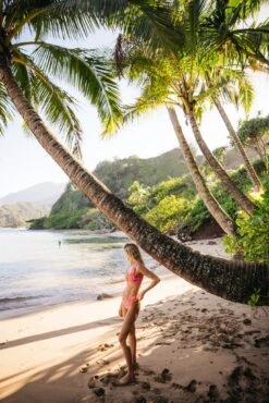 Mandi Bottom - Acai -VANA Apparel Store 240118 skatie 8122 035be188 68be 4ac4 8c99 f94aec2d1deb