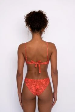 Cheryl Bottom - Paloma